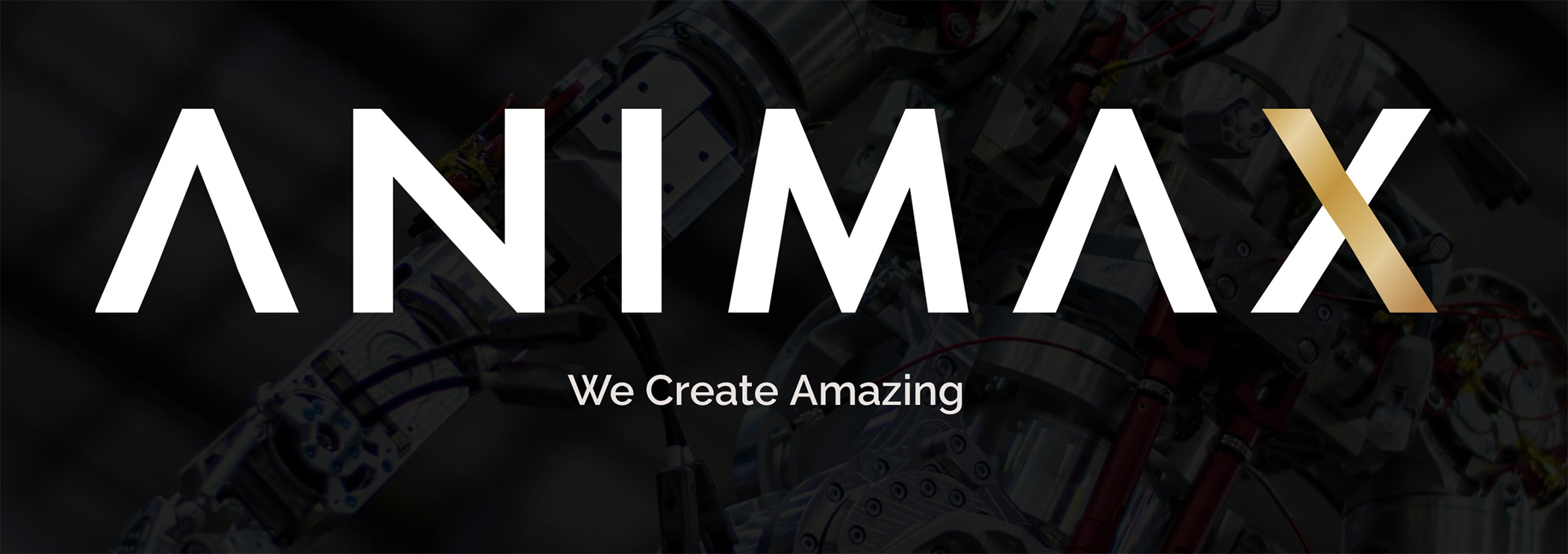 Animax &mdash; We Create Amazing