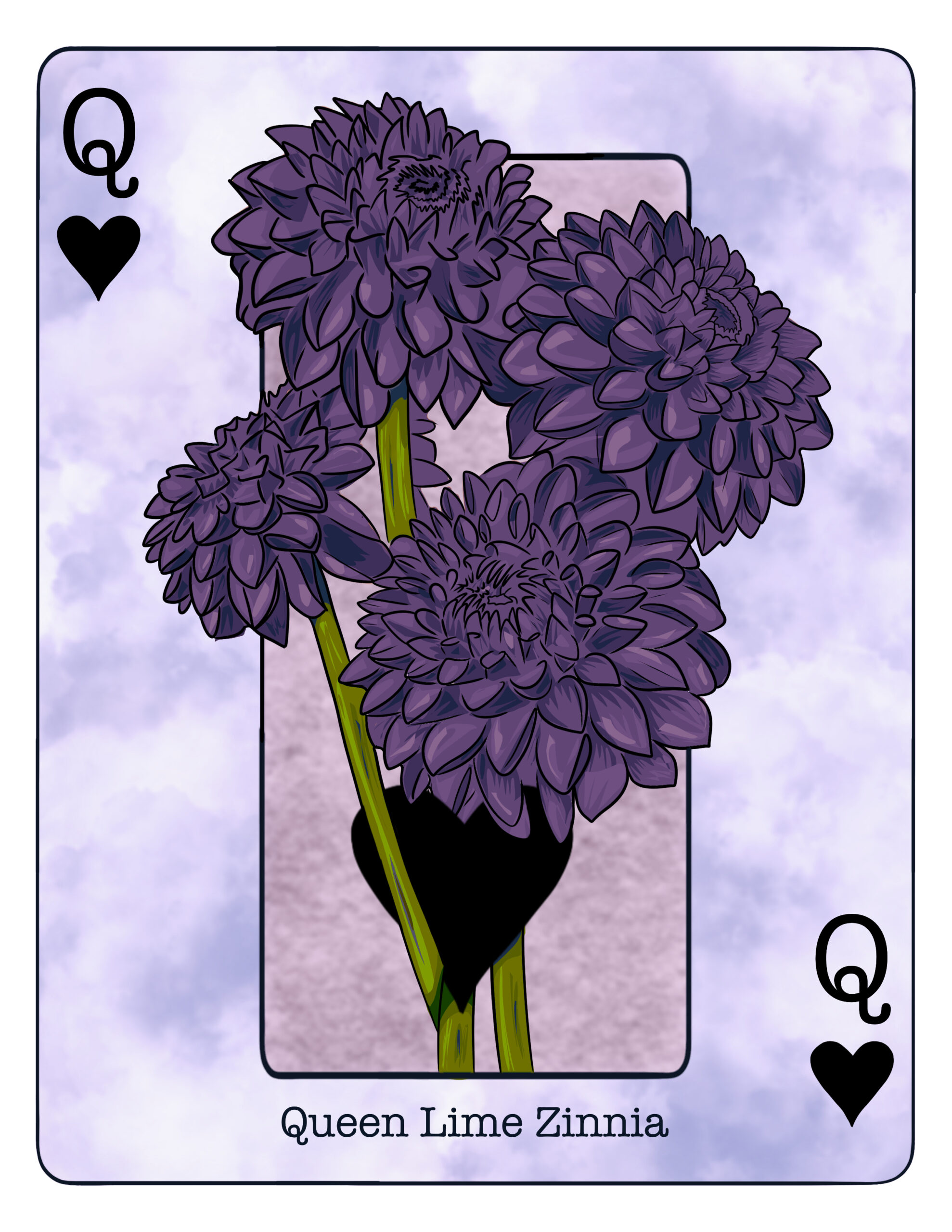 Gabriell Mattes &mdash; Queen Lime Zinnia playing card illustration